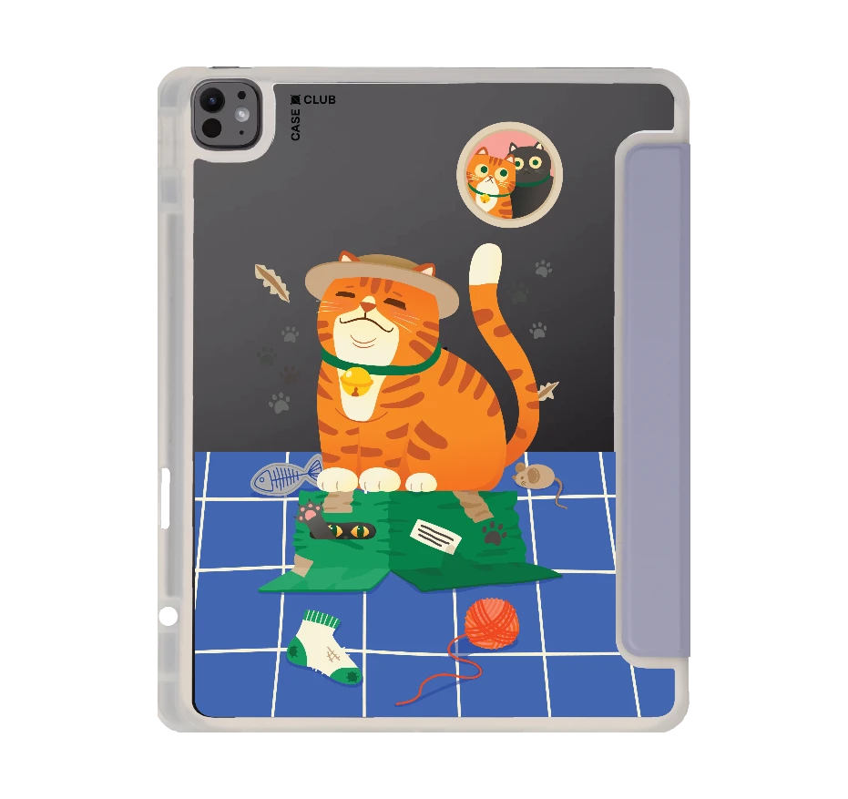 orange cat on the box