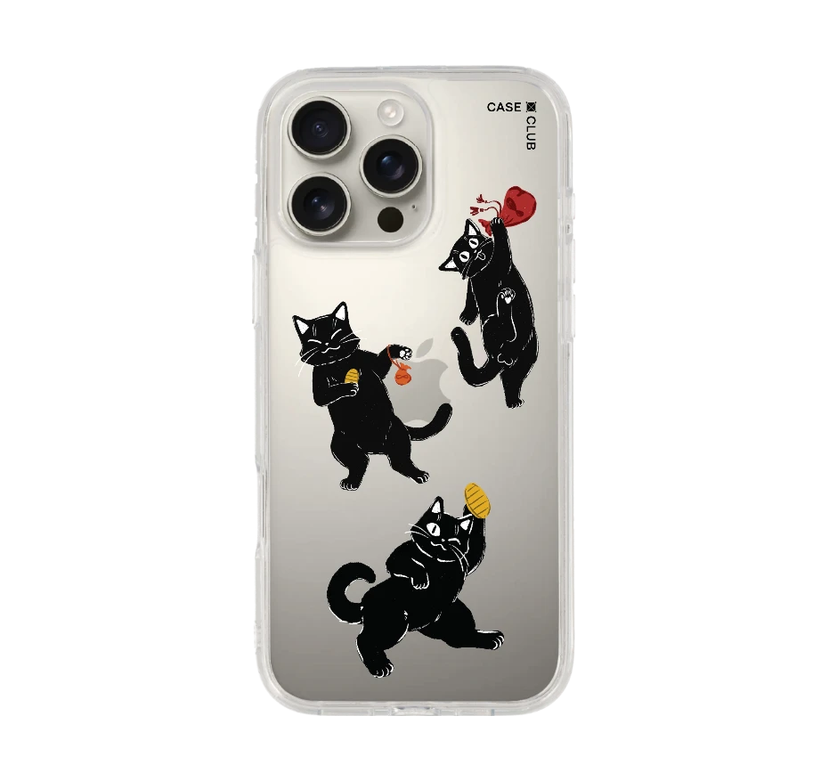 ชีวิตประจำวันของแมวดำ