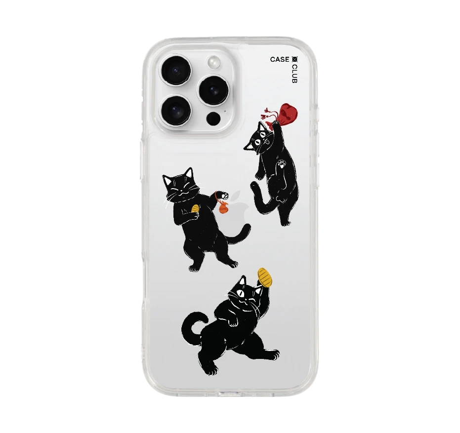 ชีวิตประจำวันของแมวดำ