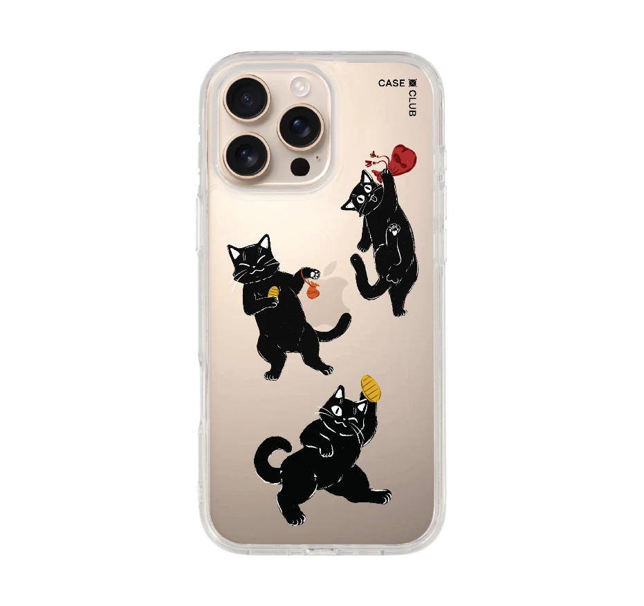 ชีวิตประจำวันของแมวดำ