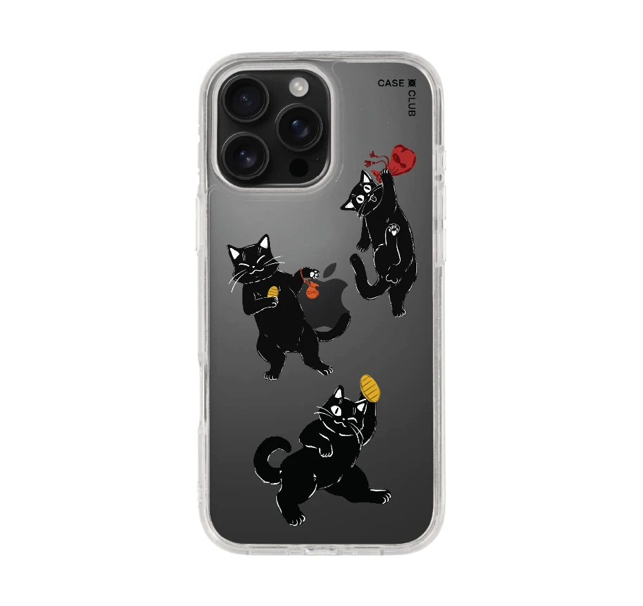 ชีวิตประจำวันของแมวดำ