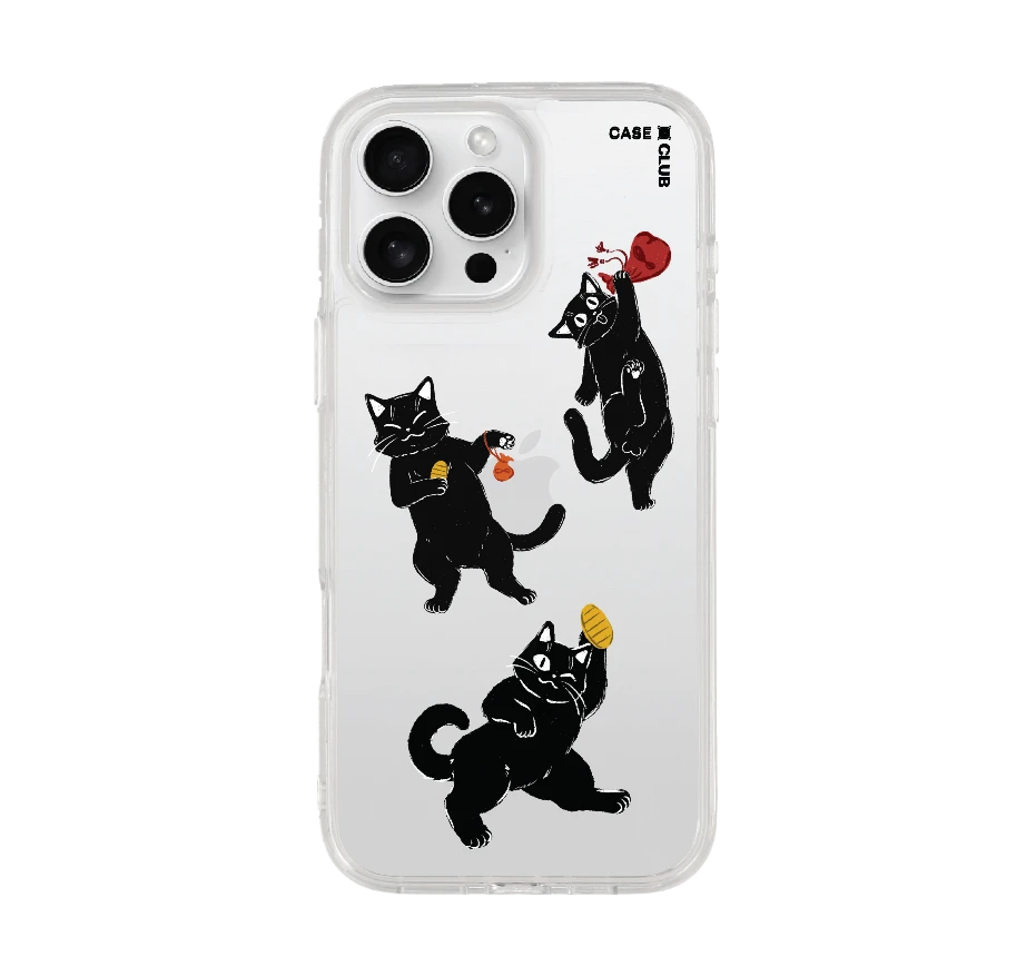 ชีวิตประจำวันของแมวดำ