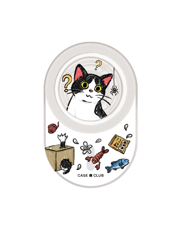 bicolor cat life