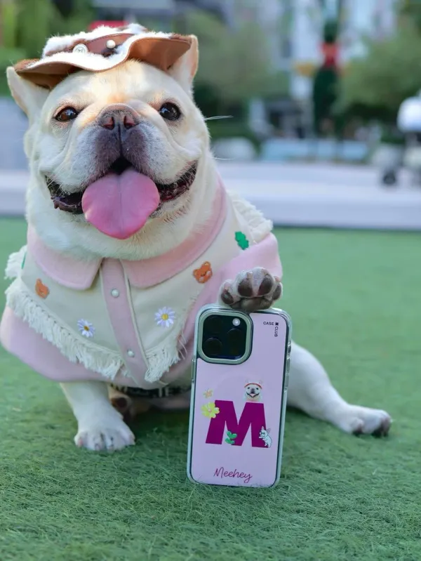 A French bulldog sitting on grass beside an M-letter case
