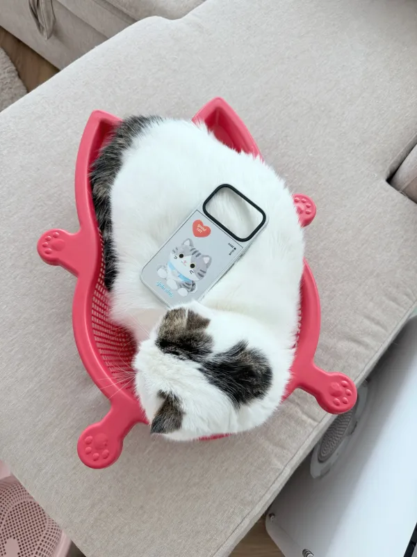 A black-and-white cat lying on a red cushion beside a clear cat case